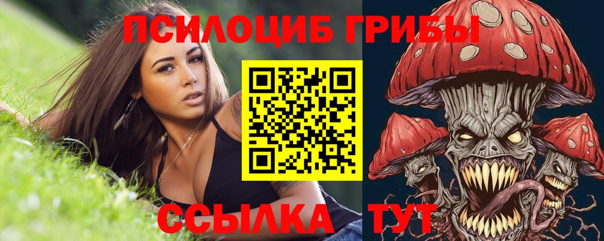 Кингисепп  Псилоцибиновые грибы мухоморы  Вход с VPN 