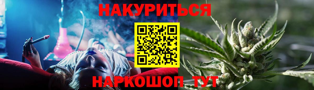 Канабис планчик  Бошки марихуана план  Кингисепп  Конопля семена  Вход с VPN 